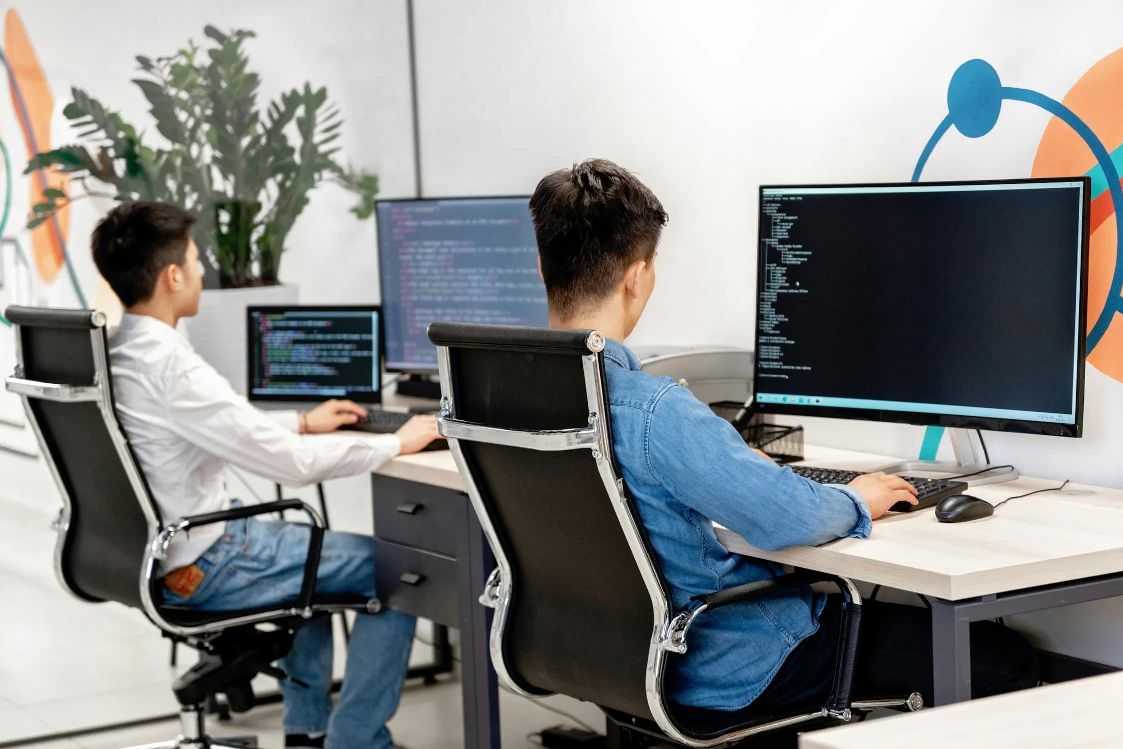 Website Development